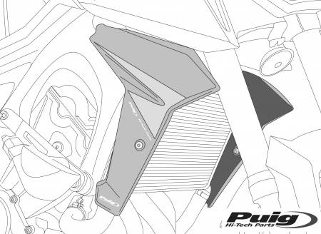 PUIG RADIATOR SIDE PANELS BMW R1200R 15''-18'' C/CARBON 33-7694C