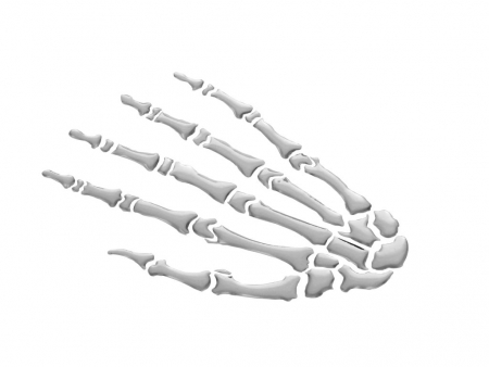 3-D STICKER SKELETON HAND 561-51-39973