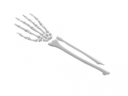 3-D STICKER SKELETON ARM 561-51-39974