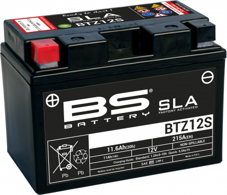 BS BATTERY  BTZ12S (FA) SLA - SEALED & ACTIVATED 140-300637