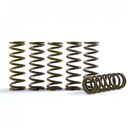 HINSON CLUTCH SPRINGS HONDA, KTM250-505, ATV 450-CS189-6-1015