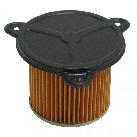 MIW AIR FILTER 264251 203-H1167