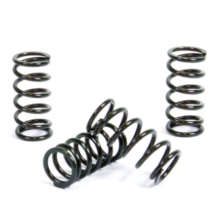 PROX CLUTCH SPRING KIT CRF150R '07-21 400-17-CS12010