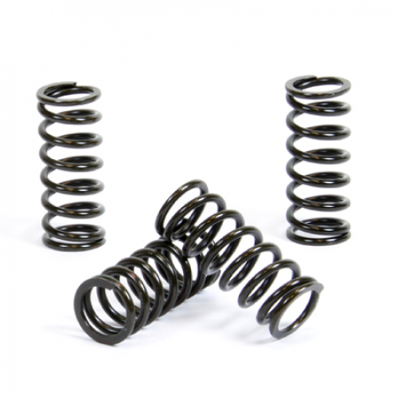 PROX CLUTCH SPRING KIT CRF450R '11-12 400-17-CS14053